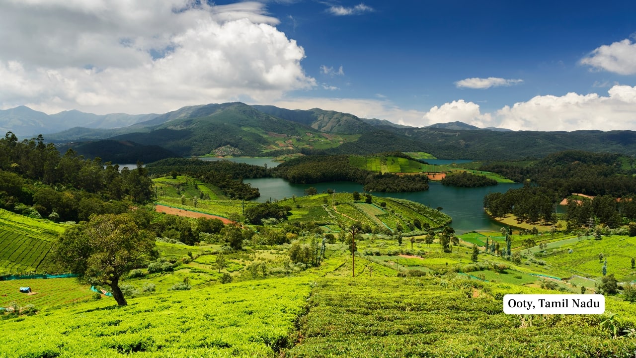 Ooty, Tamil Nadu (Image: Canva)
