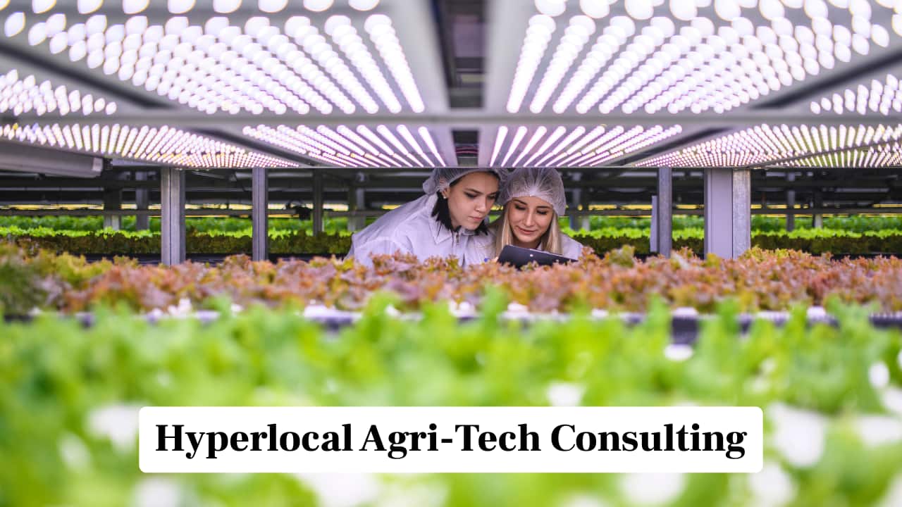 Hyperlocal Agri-Tech Consulting