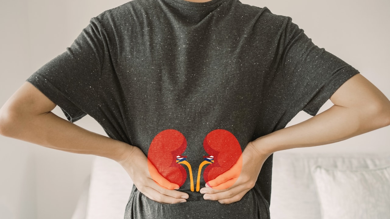 Symptoms in Early Stages Even though there is a progressive loss of function of the kidneys, people in the early stages of chronic kidney disease may not show any symptoms. The levels of serum urea and creatinine in your body may roughly correlate with the appearance of symptoms. Commonly, clinical features appear when your serum urea levels cross 40 mmol/L.