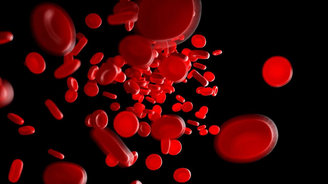 Anaemia and Fatigue The kidneys are responsible for the action of erythropoietin, which plays an integral part in the production of red blood cells. Chronic kidney disease can lead to a reduction in the number of red blood cells, thus reducing the amount of haemoglobin which ultimately leads to anaemia. Features of anaemia include fatigue and shortness of breath on walking.