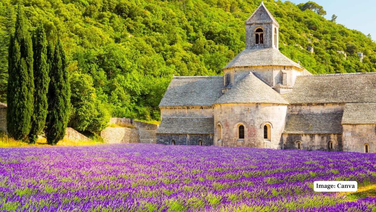 6. Provence, France France’s rural south offers a more rustic yet equally enchanting alternative to coastal luxury. In Provence, golden fields, lavender farms, and stone farmhouses define the landscape. Venues such as Le Mas des Poiriers near Avignon are celebrated for hosting elegant yet intimate weddings amid fruit orchards and vineyards. (Image: Canva)