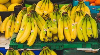 Bananas are high in potassium, fibre, vitamin C, and vitamin B6, and as with most things in nutrition, the key is moderation (Image: Pexels)