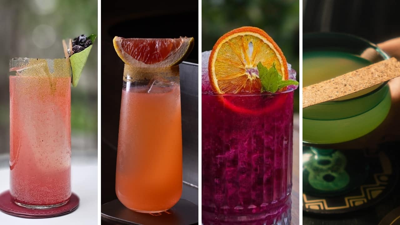 World Tequila Day 2025: Elevate your home bar game with 5 not-to-be-missed Tequila recipes World Tequila Day 2025: Elevate your home bar game with 5 not-to-be-missed Tequila recipes