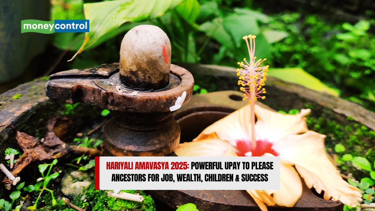 Hariyali Amavasya 2025: Powerful Upay to Please Ancestors for Job, Wealth, Children &amp; Success