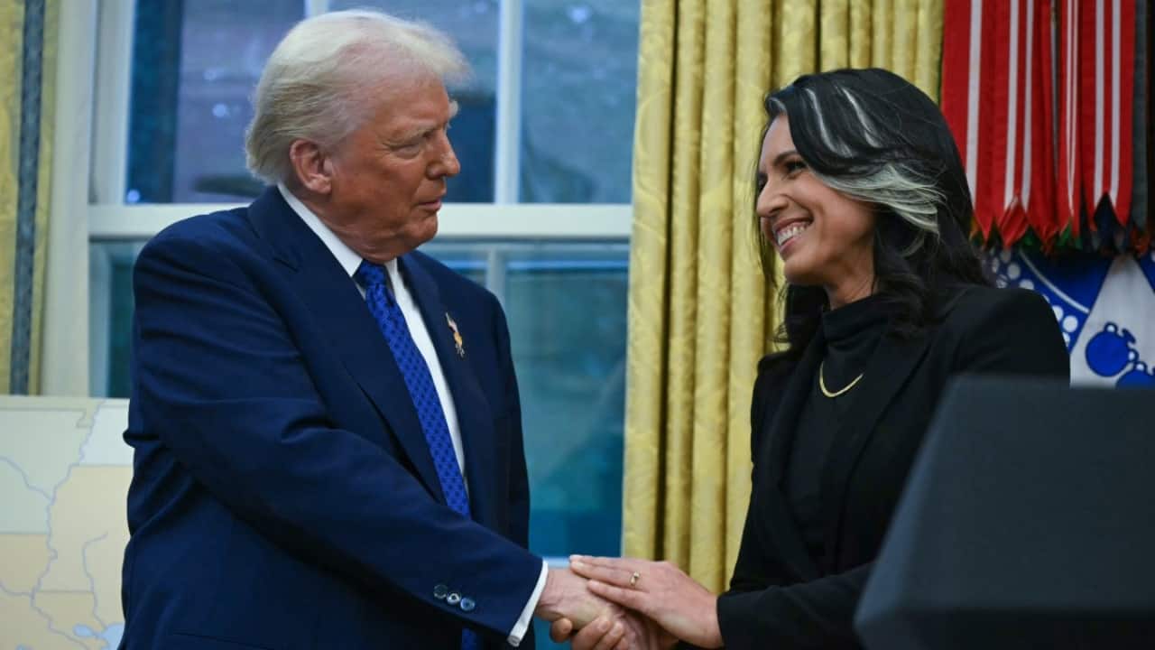 'Hottest one in the room right now': Why Trump is all praises for Tulsi Gabbard