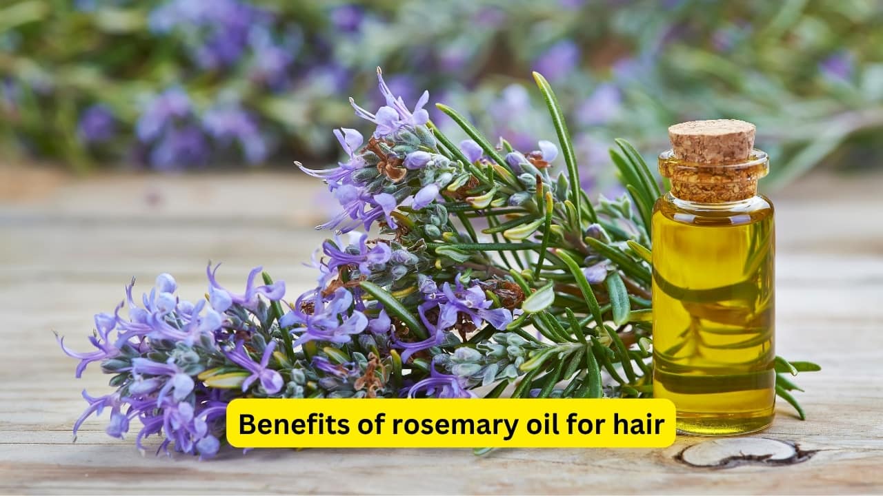 7 ways to use rosemary oil to get long hair, stop breakage, keep scalp healthy 7 ways to use rosemary oil to get long hair, stop breakage, keep scalp healthy