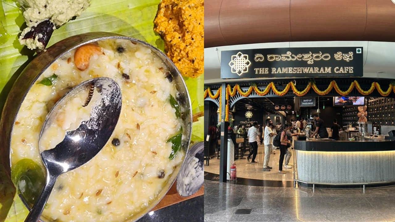 Diner films worm in Rameshwaram Cafe's pongal at Bengaluru airport | Watch