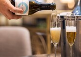 What is sparkling tea, the sophisticated new sip that blends wellness with indulgence?