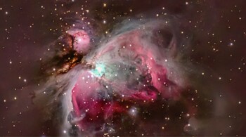 Orion Nebula, also called M42. (Image: Shubhanshu Shukla/Instagram)