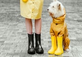 What to wear on a rainy day: Best tips and tricks for a comfortable yet stylish outing