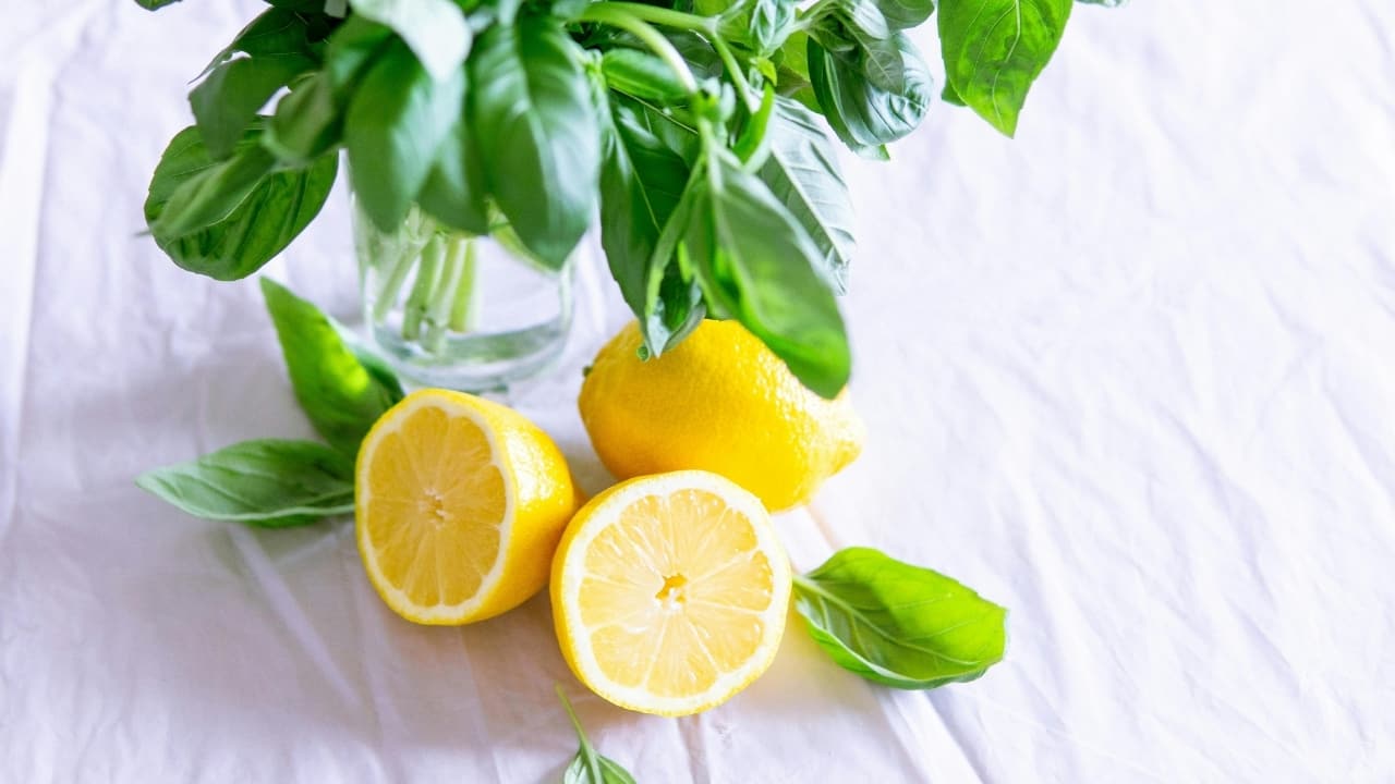 Health benefits of lemons: lemon’s soluble fibre and flavonoids improve digestion, help manage blood sugar levels, lower blood pressure, and protect heart health (Image: Pexels)