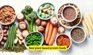 12 best plant-based protein-rich foods for vegetarians and vegans