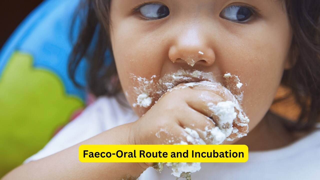 Symptoms of Enteric Fever (Image: Canva)