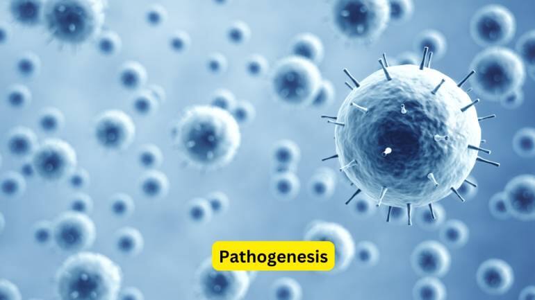 Symptoms of Enteric Fever (Image: Canva)