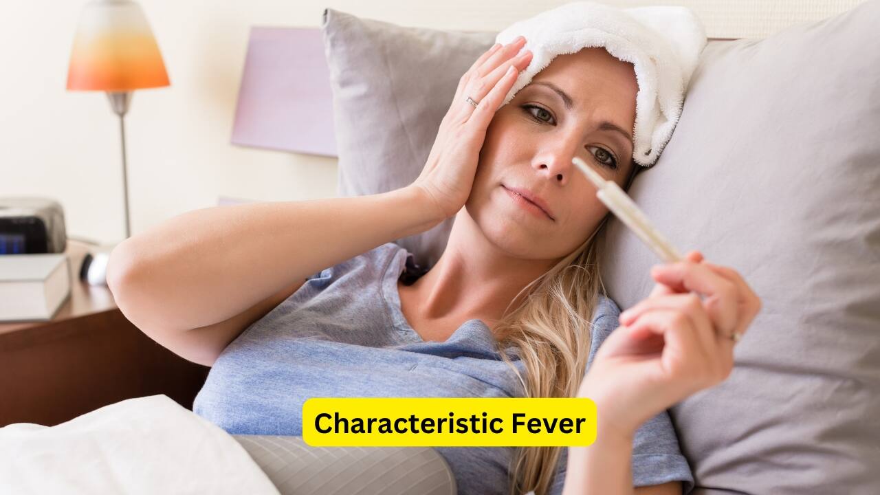 Symptoms of Enteric Fever (Image: Canva)