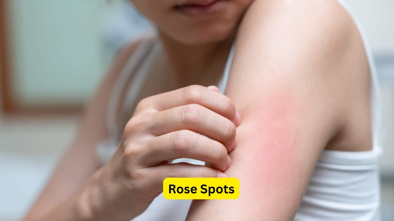 Symptoms of Enteric Fever (Image: Canva)