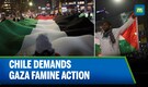 Chilean Protesters Demand Gaza Action | Call to Cut Ties With Israel Amid Famine | N18G