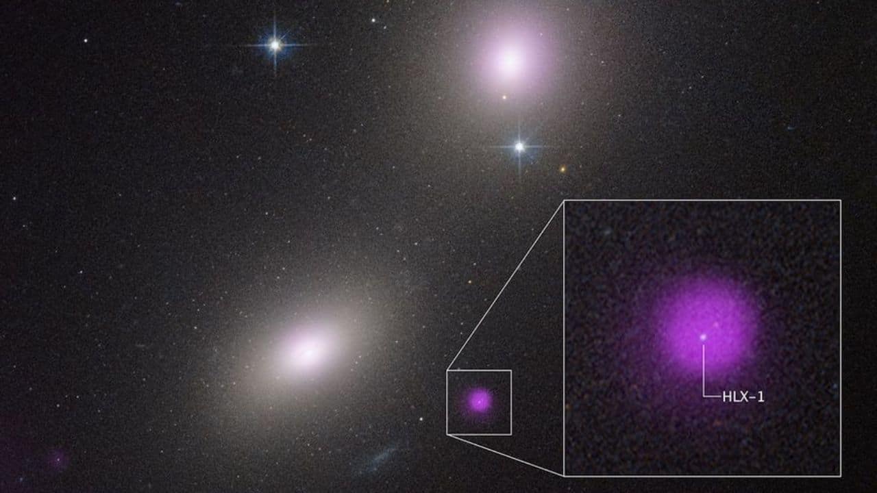 Uncommon black hole eating a star spotted by NASA's Hubble and Chandra
