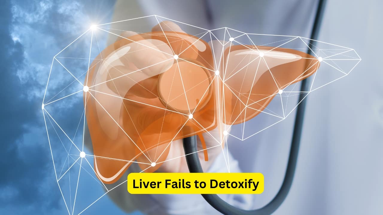 What is Hepatic Encephalopathy Liver Failure Toxin Build Up (Image: Canva) What is Hepatic Encephalopathy Liver Failure Toxin Build Up (Image: Canva)