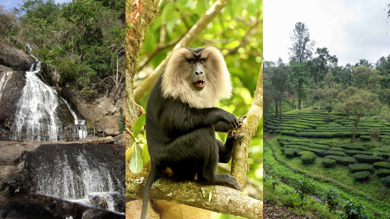 Valparai, Tamil Nadu