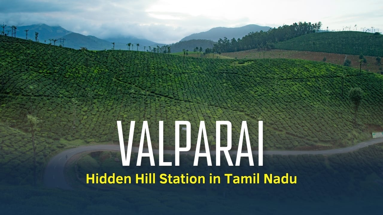Explore Valparai: Your complete guide to Tamil Nadu’s hidden hill station