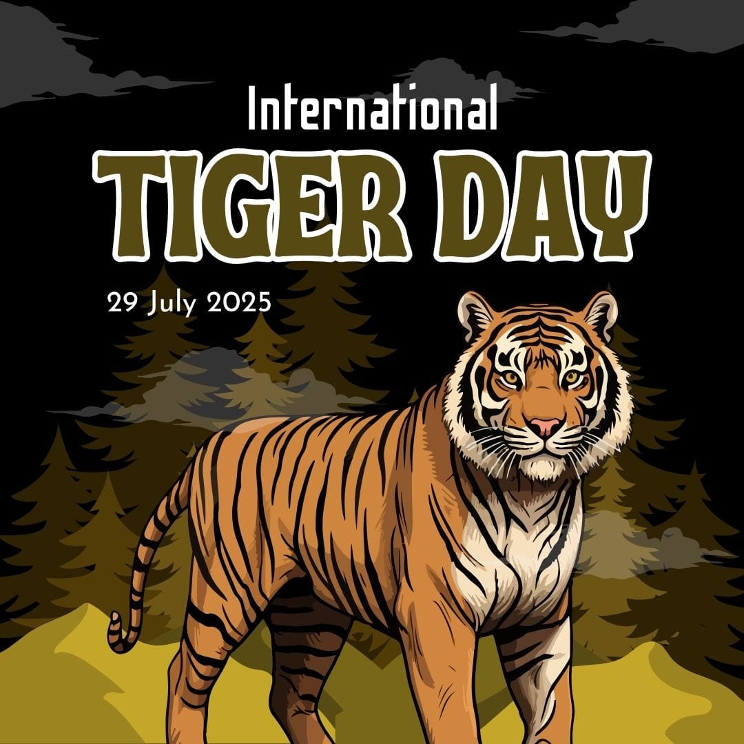 International Tiger Day (Image: Canva)