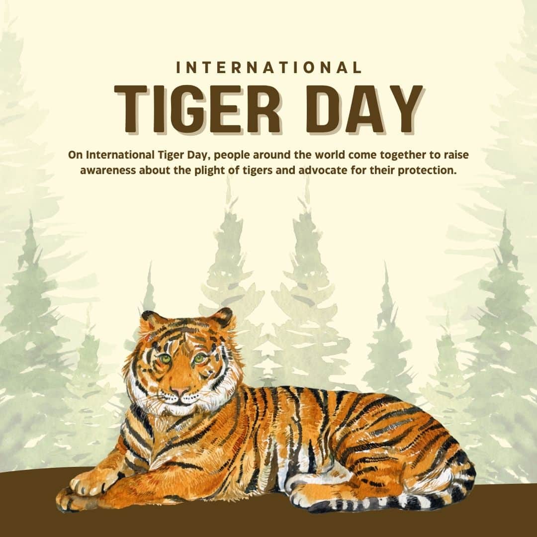 Give the tiger a chance to walk freely again (Image: Canva)