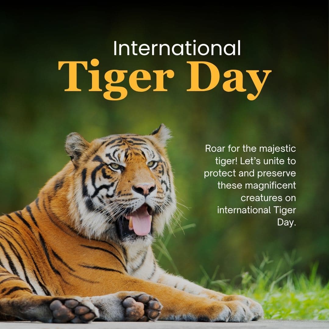 Happy International Tiger Day (Image: Canva)