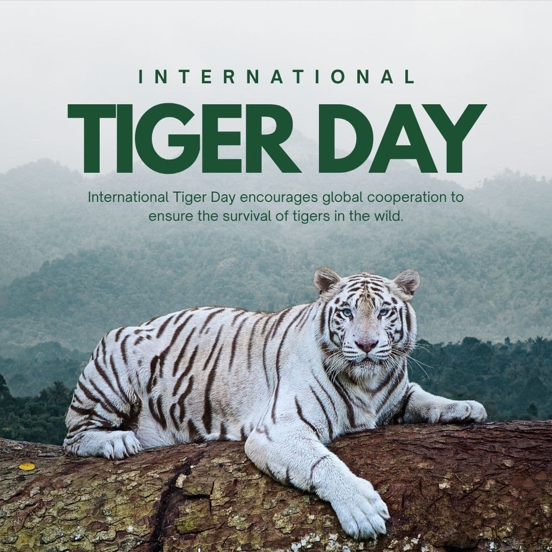 Celebrate World Tiger Day (Image: Canva)