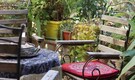 Gardening tips: How to build a beautiful, sustainable greenhouse garden on your terrace