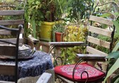 Gardening tips: How to build a beautiful, sustainable greenhouse garden on your terrace