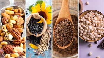 Healthy options that are rich in dry fruits are an excellent option for snacking between meals or during office breaks without making you feel bloated or lethargic (Images: Canva)