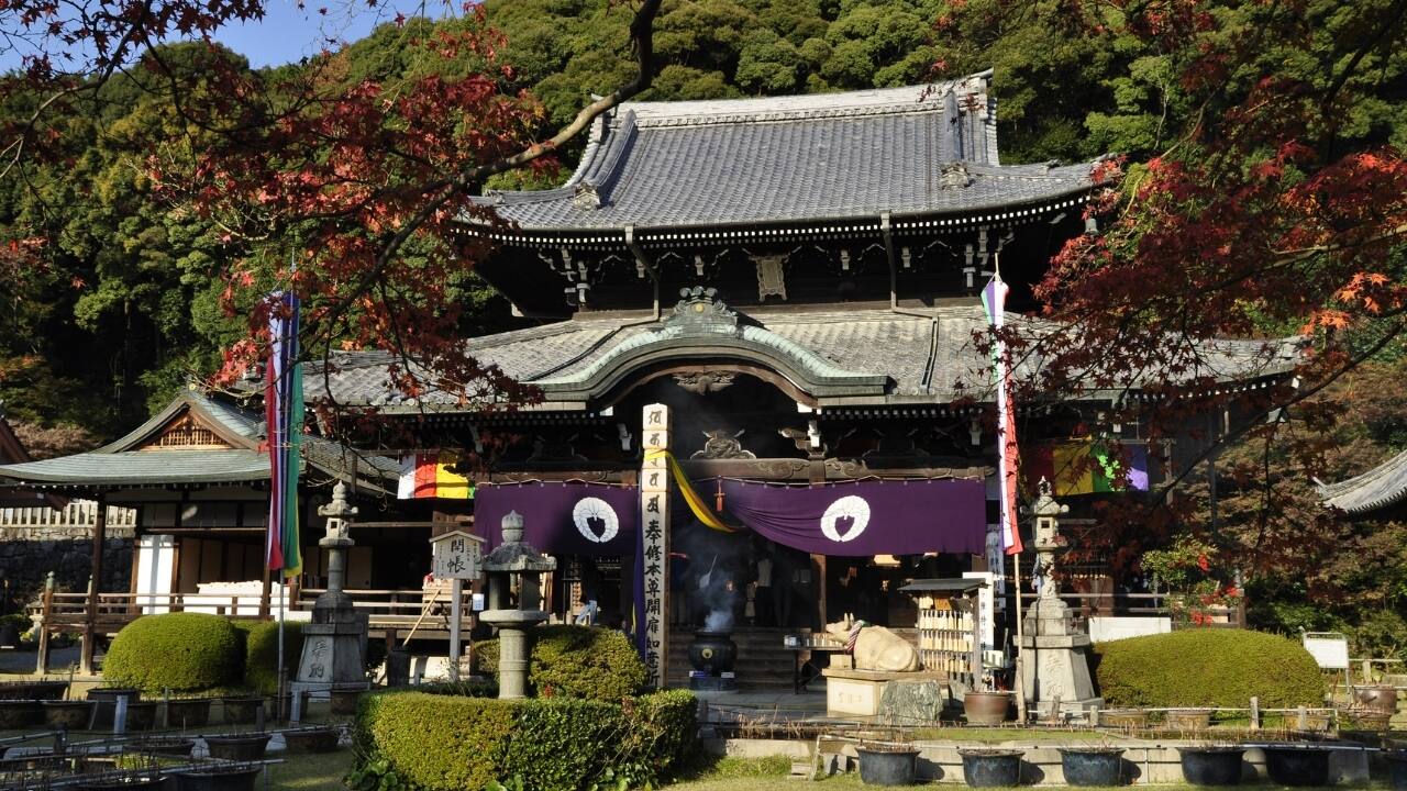 4. Mimuroto-ji Temple Nicknamed the &quot;Hydrangea Temple,&quot; Mimuroto-ji draws thousands of visitors each June for its 10,000-bloom hydrangea garden. In autumn, the temple’s grounds blaze with red and gold foliage. Beyond its seasonal beauty, the temple is a peaceful space for meditation and offers a unique treat—matcha ice cream served in the garden. (Image: Wikipedia)