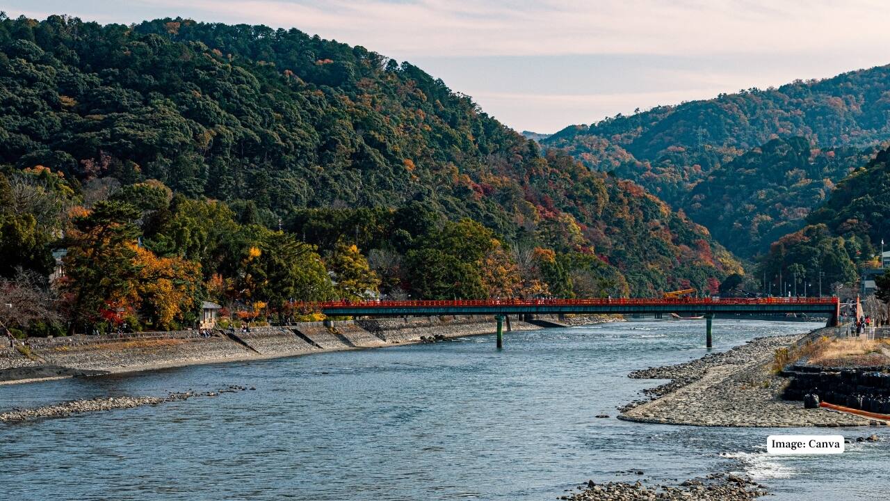 5. Uji River The Uji River flows gently through the city and is a visual delight throughout the year, particularly during cherry blossom season. The riverside paths are ideal for walks, and traditional flatboat cruises offer scenic views of temples, bridges, and the lush surrounding hills. At dusk, the reflection of lanterns on the water is particularly magical. (Image: Canva)