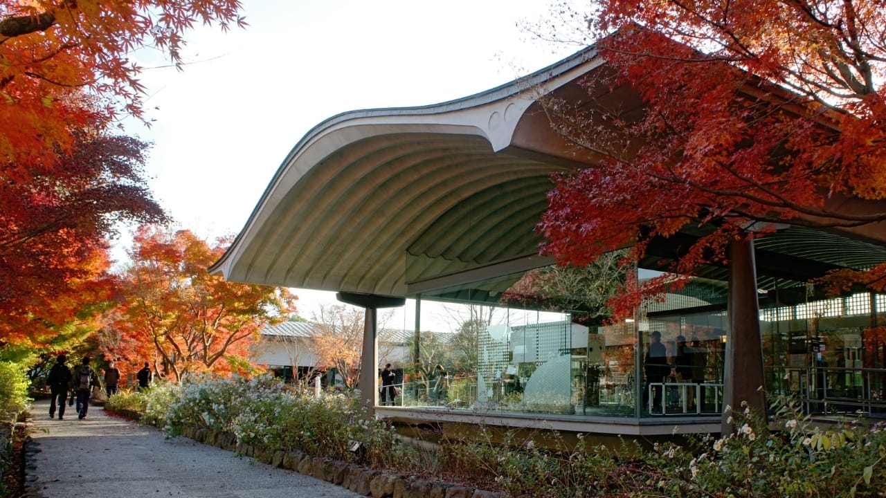 7. The Tale of Genji Museum Uji features prominently in the final chapters of The Tale of Genji, Japan’s most celebrated classic novel. This modern museum brings that literary world to life with immersive exhibits, elegant calligraphy, costumes, and interactive visuals. It’s an essential stop for those interested in Japan’s literary and courtly history. (Image: Wikipedia)