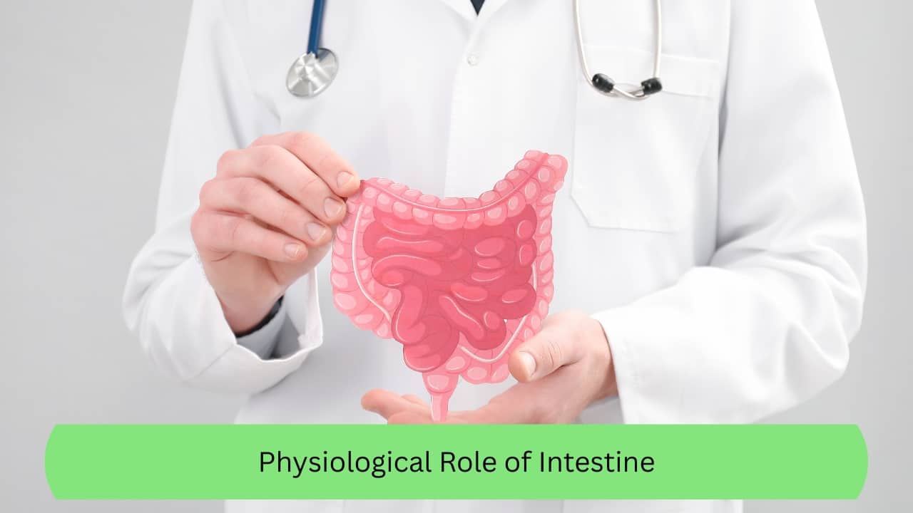 All You Need to Know About Intestinal Obstruction