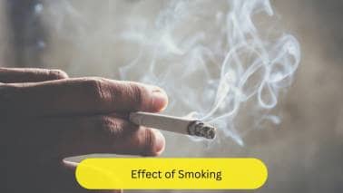 Effect of Smoking When a person smokes, carbon dioxide and nicotinic acid enter the body, and lead to inflammation of the arteries. Eventually, artery, vein and nerve may all become involved. Due to the involvement of nerves, the person may experience pain even while resting. Initially collaterals develop to compensate for the blockage.(Image: Canva)