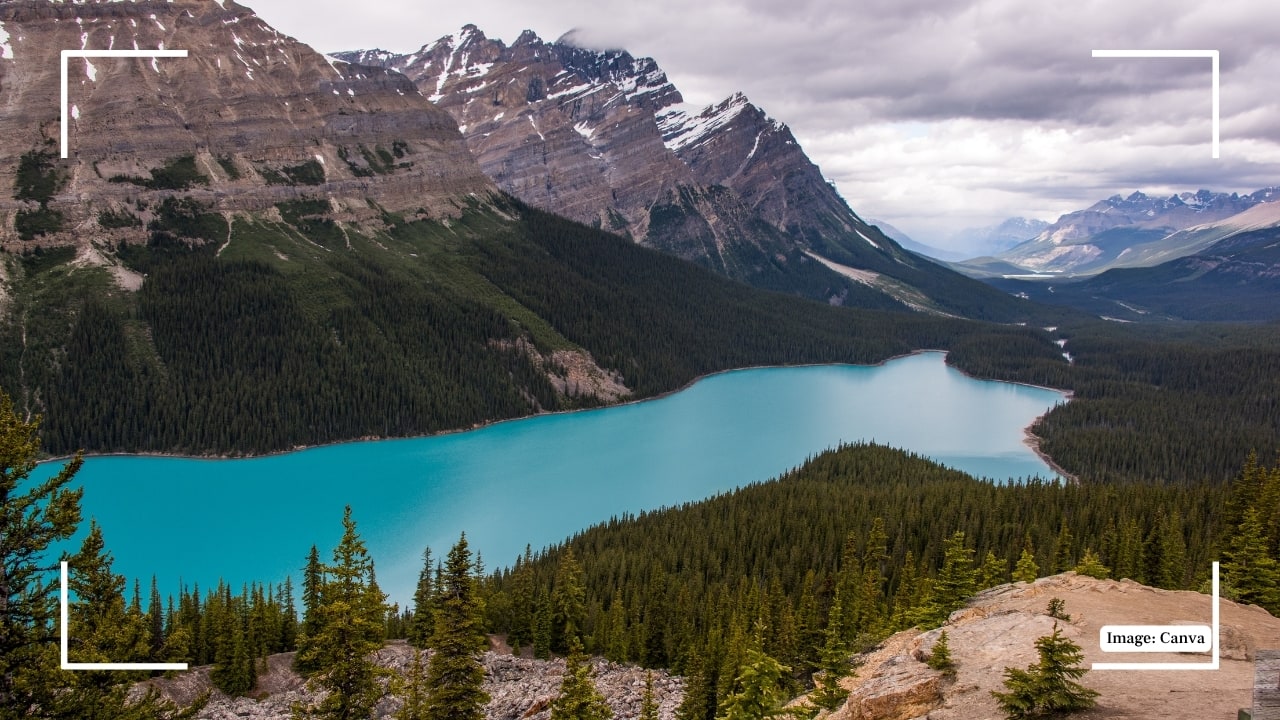10. Peyto Lake, Alberta, Canada Peyto Lake, recognizable by its distinctive wolf-head shape, dazzles with striking turquoise waters. Located along the Icefields Parkway, its vivid colours stand in sharp contrast to the rugged wilderness, offering surreal views from the Bow Summit lookout. (Image: Canva)