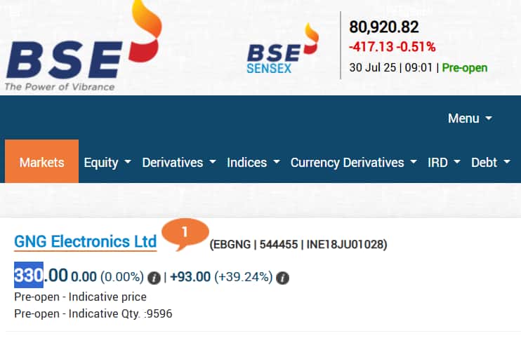 GNG Electronics Share Price, GNG Electronics IPO, GNG Electronics Stock Price, GNG Electronics Listing, GNG Electronics Listing Price, GNG Electronics IPO Price, GNG Electronics IPO GMP, GNG Electronics News
