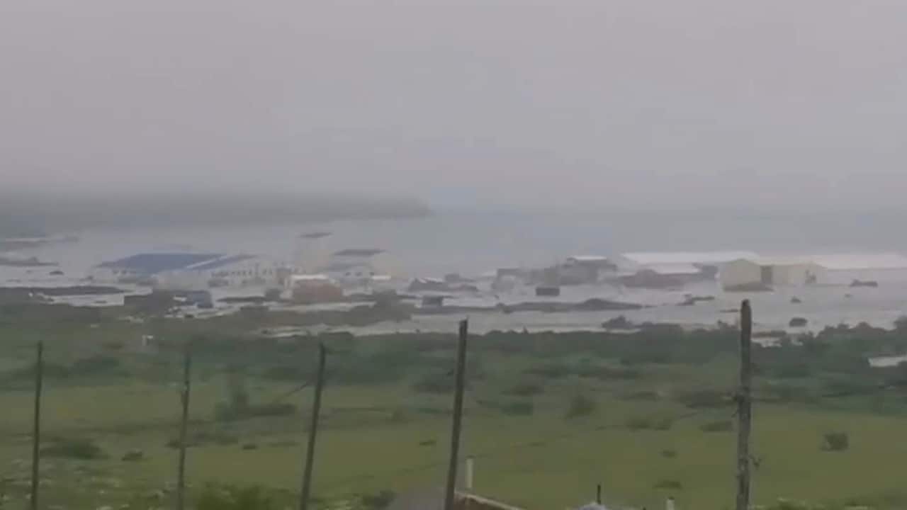 How high were tsunami waves in 2025