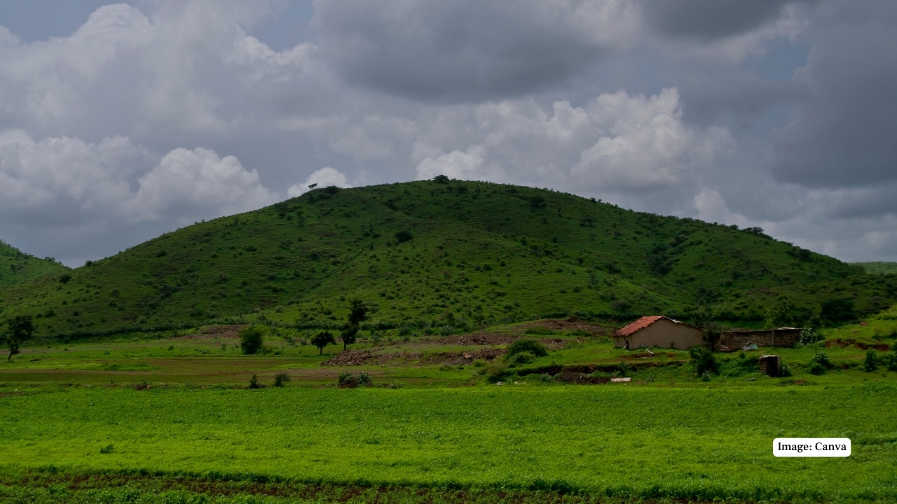 7. Lush Flora and Biodiversity Beyond the Big Cats Gir isn’t just about fauna. The park houses over 400 species of trees, including teak, jamun, dhak, and flame-of-the-forest. The varying terrain—ranging from dry scrub to riparian zones—supports a wealth of reptiles, insects, and aquatic life, enhancing the region’s ecological tapestry. (Image:Canva)