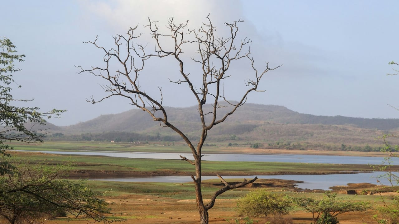 A Journey Beyond Wildlife Gir National Park is not simply a wildlife destination—it’s an immersive encounter with India’s ecological soul. From the raw power of its apex predators to the serenity of its forested trails, every corner of this park whispers stories of survival, coexistence, and natural splendour. For anyone seeking a wildlife experience grounded in authenticity and biodiversity, Gir promises an unforgettable chapter in your travel narrative. (Image:Unsplash)