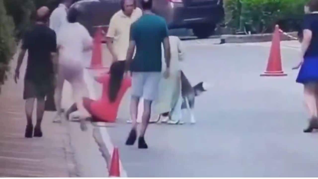 15 seconds of terror: Pet Husky attacks woman, won’t let go of her hand in Gurugram | Watch