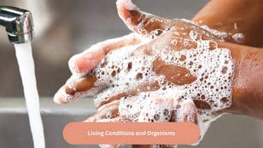 Living Conditions and Organisms People living in overly crowded areas and those who do not have access to adequate health education are more susceptible to have complications. Other factors include lack of personal hygiene, and infection by highly virulent organisms like Haemophilus influenza.(Image: Canva)