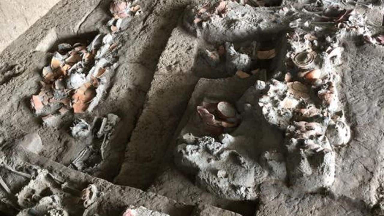 4,000-year-old dental plaque uncovers evidence of people eating psychoactive betel nuts