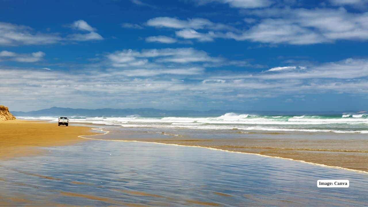 5. Ninety Mile Beach, New Zealand – 55 miles This northern New Zealand beach is famous for its vast length and unique driving experience along the sand. Beyond its name, the beach stretches about 55 miles and offers beautiful views of the Tasman Sea and native dune forests. (Image: Canva)