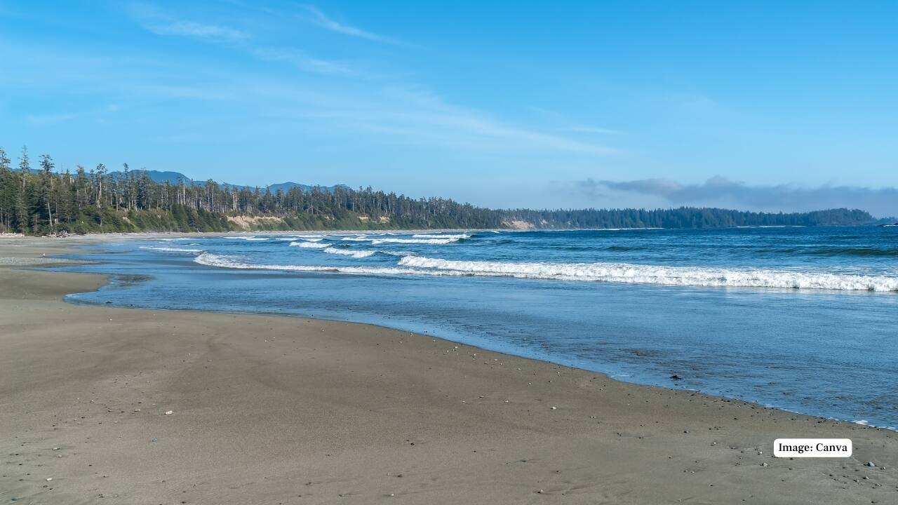 10. Long Beach, Canada – 10 miles Nestled in British Columbia’s Pacific Rim National Park, Long Beach offers 10 miles of wild, windswept shorelines. Its dramatic coastal views and excellent surfing opportunities make it one of Canada’s most beloved beaches. (Image: Canva)