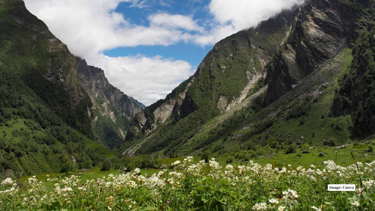9. Valley of Flowers, Uttarakhand This Himalayan gem opens its floral treasury in August, making it the ideal month for those with a taste for trekking and nature. A carpet of endemic alpine blossoms under the open sky creates a surreal canvas. What to explore: The Valley of Flowers National Park and the nearby Hemkund Sahib trek. Best departure cities: Delhi, Haridwar. (Image: Canva)