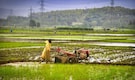 PM Modi to release 20th installment of over Rs 20,000 crore under PM Kisan on August 2 | Check details