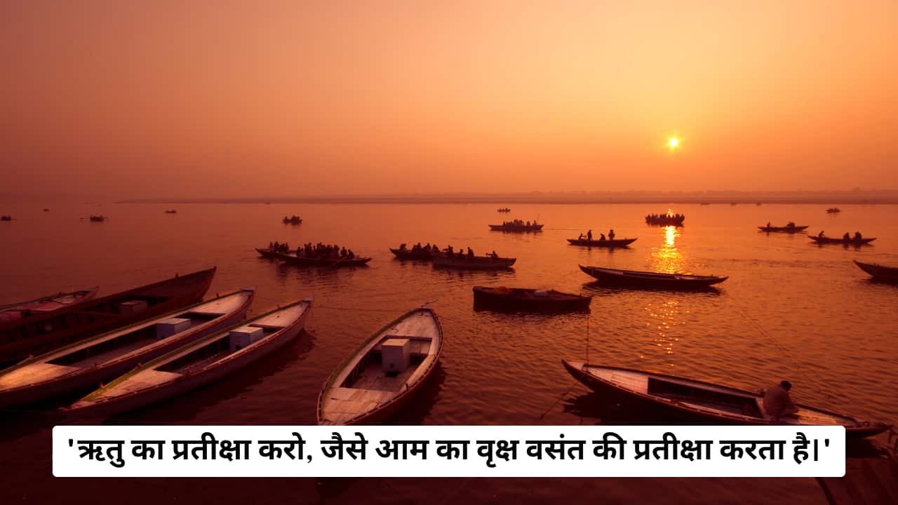 &quot;Wait for the season, as the mango tree waits for spring.&quot;